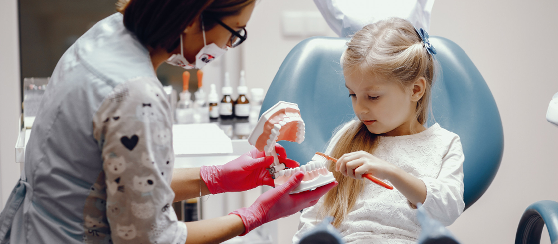 Nuestros Servicios Odontopediatra enseñando a una niña la correcta técnica de cepillado dental con un modelo de mandíbula.